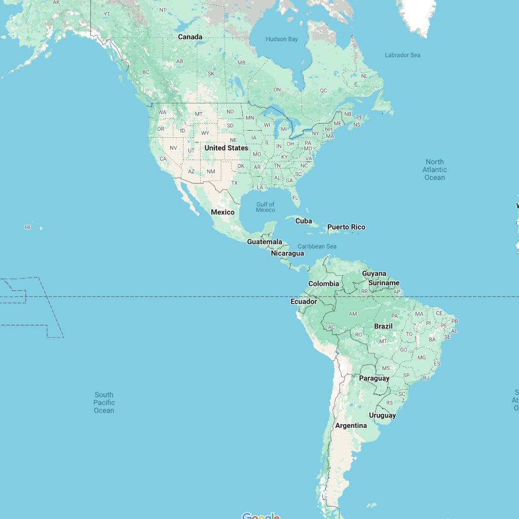 Distribution and sales in the Americas